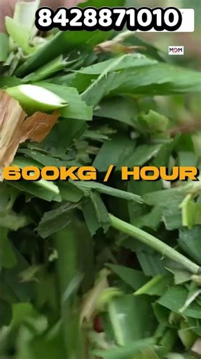 കുറഞ്ഞ പരിശ്രമത്തിൽ വേഗത്തിൽ തീറ്റ വെട്ടാം Chitti Chaff Cutter