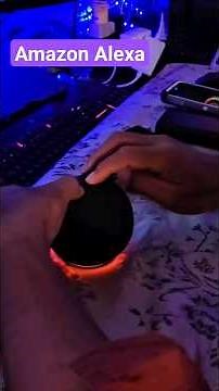 How to reset Amazon Alexa?