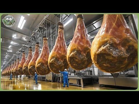 Inside the World’s Most Expensive Animal Products – How Modern Technologies Process Them