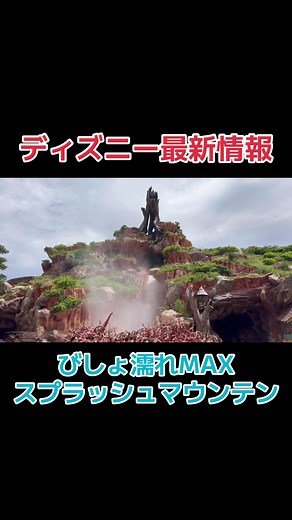 夏ディズニーでスプラッシュマウンテン満喫