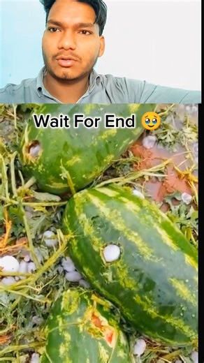 Summer Storm 😭 Very Havey Which More Comment Now#viralvideo#summerstorm#kalinga#rainfacts#rainrain