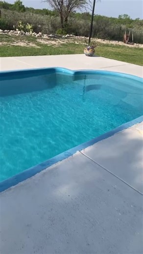 ⚠️ Antes de meterte a la pileta, mirá esto. Con las altas temperaturas, los alacranes se activan y buscan humedad y refugio. Pueden caer en la pileta y picar por reflejo, incluso antes de morir. 👉 Revisá bordes y escalones. 👶 Extremá cuidados con niños y grupos de riesgo. Un segundo de prevención puede evitar un accidente. #Alacranes #veranoseguro #controldeplagas