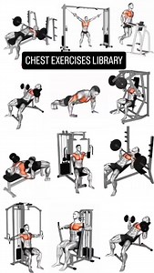 CHEST EXERCISES CHART | Azra Fitness