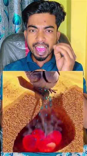 The Hidden Miracle in Every Grain of Sand | Wonders of the Creator That Will Amaze You