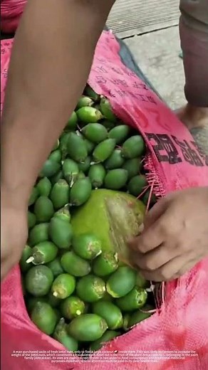 A large coconut was mixed in with the areca nuts