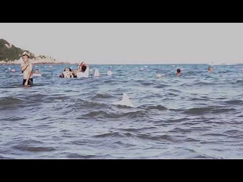 Remote Controlled Shark Fin Boat Toys Prank People In Sea and Swimming Pool.