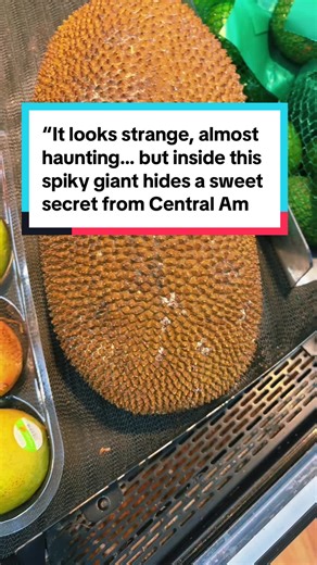 Fresh from the tropics — the mighty jackfruit, a Central American treasure full of flavor and nutrition! 😳 #CentralAmericanFruit #JackfruitLove #TropicalSuperfood #ExoticFruitFinds #Nature’sBounty