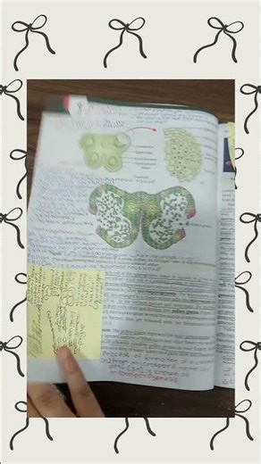 class 12 biology notes ncert biology chapter 1 class 12 botany chapter 1 notes biology board PART 1