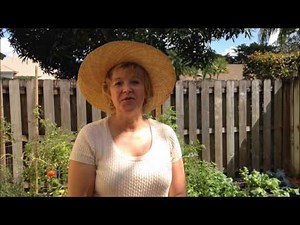 Seed Starting in Egg Crates and Transplanting - Easy Growing Episode #7