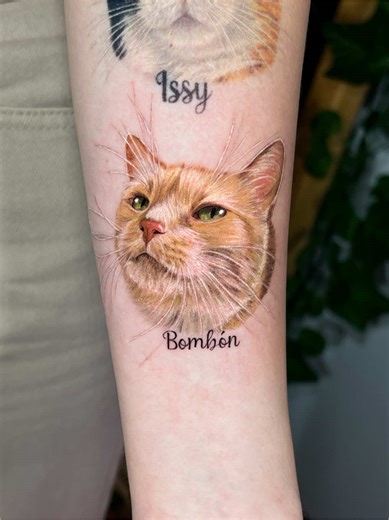Tatuaje de estas dos bellas gaticas a color: Bombón recién hecha e Issy cicatrizada #cattattoo #tattoocat #catlover #microrealismotattoo #tatuajegato