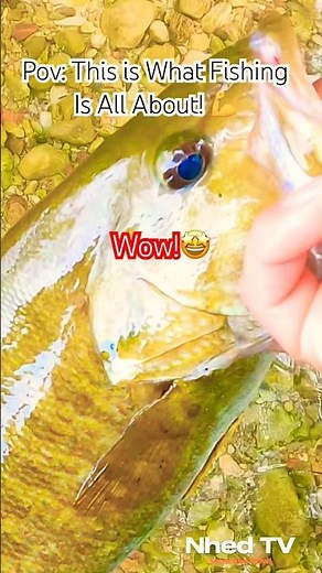 This Is What Fishing Is All About — Catching the Big One! 🐟🔥 | #Salmon #Fishing #Shorts