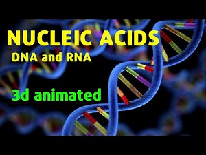 Nucleic acids 3D animated structure function and its types | DNA | RNA | in urdu/hindi