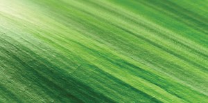 Abrasives and Absorbents Blog - The Andersons Nutrient & Industrial Group