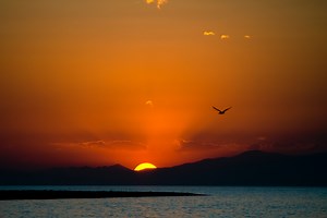 “Go Your Way till the End” (Daniel 12:1-13) - Harvest Community Church (PCA)