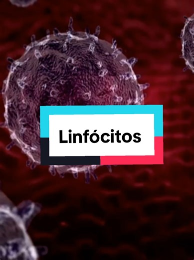 Tipos de Linfócitos: Descubra suas Funções