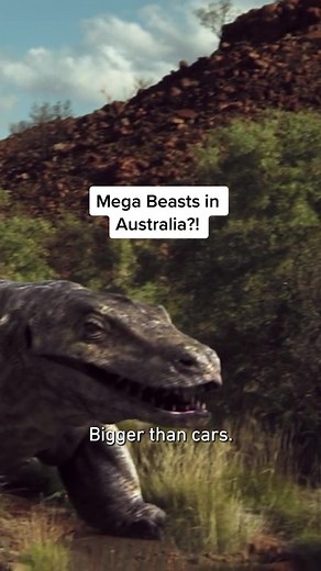 The Australian Megafauna during the Pleistocene Epoch. #australia #megafauna #pleistocene #megabeasts #dinosaurs #historytok #australiantiktok #australianhistory #faunaandflora #dinosaur