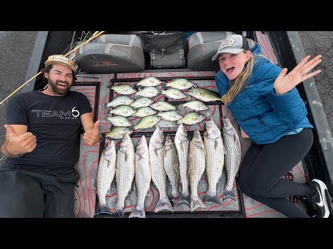Epic River Spillway BEATDOWN! Loading the Boat with BIG CRAPPIE, Bass, Striper, Skipjack and MORE!!!