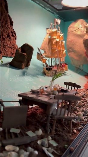 Curly Tailed Lizard Short 1