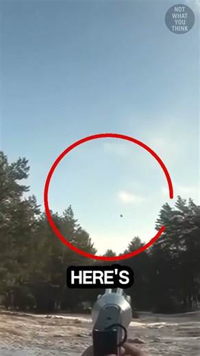 🚁 This Net Gun Can Catch Anything! 🕸️🔫