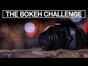 Photography Challenge # 14 - The bokeh challenge - how to blur backgrounds for beginners.