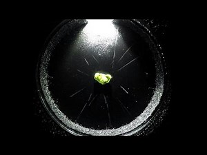 particle tracks in a cloud chamber