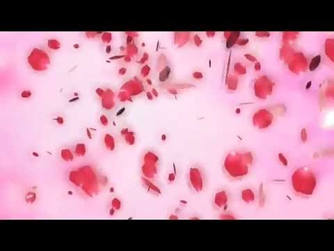 Free Falling Flower Petals Video Background Loop Animation