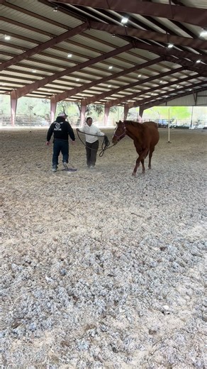 Learning to move the horse’s feet on day 1 of our clinic at Hill Country Youth Ranch in Texas #ridinginstructorproblems #ridinglessons