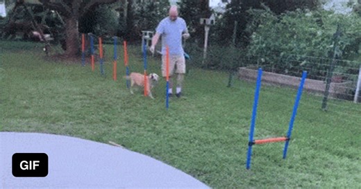 Practice makes perfect - GIF