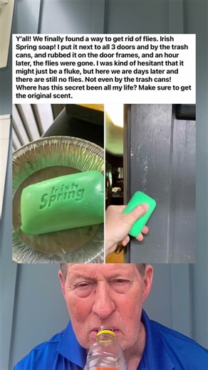 Irish Spring Soap Next To All of Your Doors and By The Trash Cans Gets Rid of Flies.