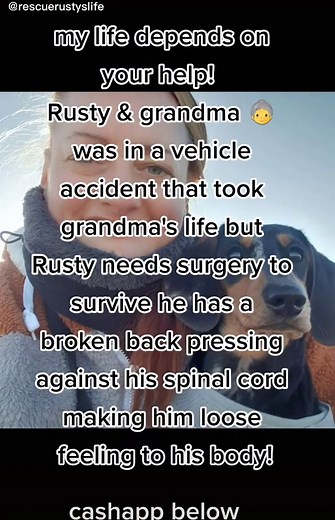 rusty and grandma's story and why rusty needs donations I've covered all but 357.08 threw various options now I need donations to save him. #donate #help #grandmasoftiktok #dogowner #katespadenycabana #pet #petsoftiktok #foryoupage #foryou #fy #fypage #fypシ #fyp #doggo #dogsoftiktok #dogs #dog