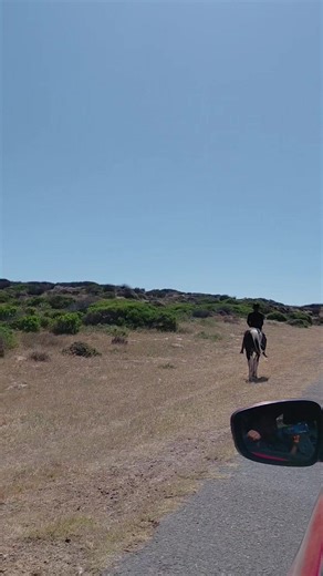 KOM WAT WIL...... @TOP DECK @TYLERADAMS