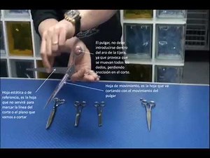 COMO USAR LAS TIJERAS, ESCUELA PROCAN