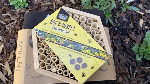 Best Place to Put an Insect Hotel | Top 5 Tips - Eco Family Life