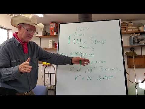 Greg Judy explains his one hot wire sheep training process