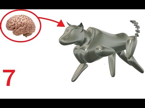 RoboDog Part 7 | How to Make Your Own OS (1 of 3)