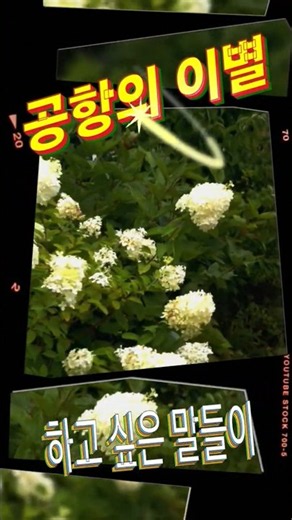 아름다운풍경과 함께 '공항이별' 김준규& 주현미 #추억의노래