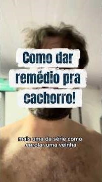 Como dar remédio para cachorro?