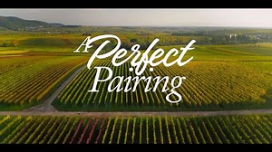 Victoria Justice on Instagram: "I present to you… the official trailer for my new film, A Perfect Pairing, coming to @Netflix on May 19! I had so much fun making this movie and I’m so excited for you guys to see!! ☺️ #APerfectPairingNetflix @NetflixFilm"