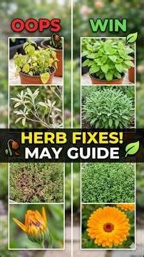 5 Herbs, 5 Lessons (Oops & Wins) #gardentips