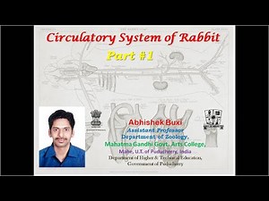 LECTURES OF ZOOLOGY for UG & PG | TOPIC: Circulatory System of Rabbit_Part 1 | By: Abhishek Buxi