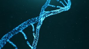 Abstract animated construction of a DNA molecule from particles. Concept animation of digital DNA, human genome. Medical research, genetic engineering, biology. Futuristic 4k animation of DNA molecule