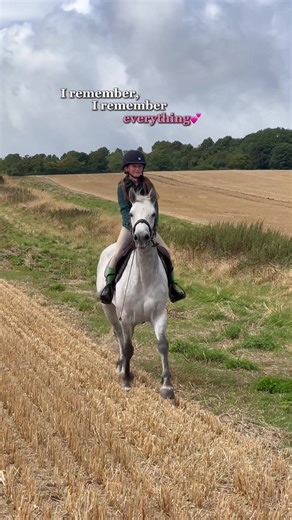 Exploring Connemara: Equestrian Life and Horses