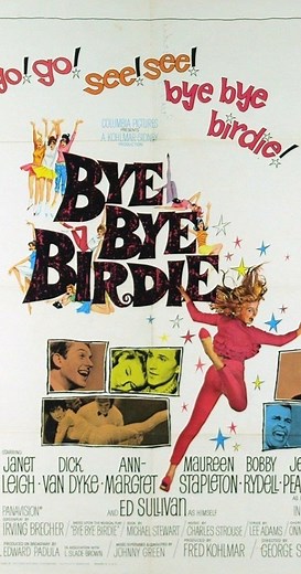 Bye Bye Birdie (1963) ⭐ 6.6 | Comedy, Musical