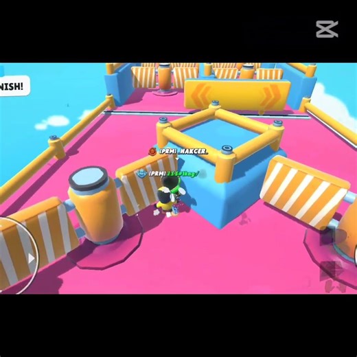 speed run world record 19 sec #stumbleguys