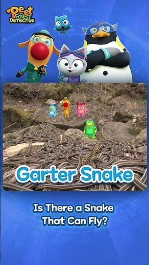 Predator Patrol 🦅 🐍 Hunter Squad | Peet The Forest Detective #shorts