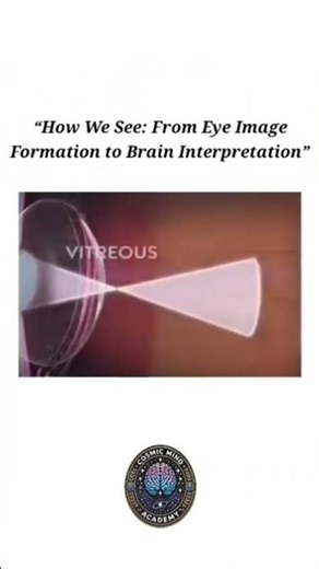“How We See: From Eye Image Formation to Brain Interpretation”
