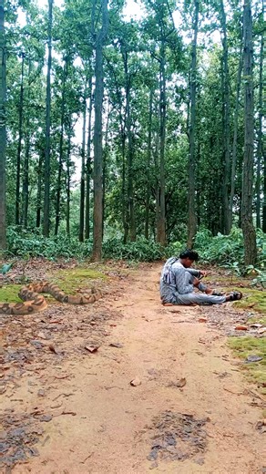 10K views · 34 reactions | Snake attack #cobra #viravideo | Sudhir Vfx | Facebook