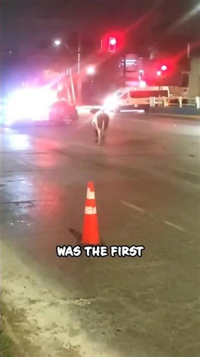 Cop realizes he badge means nothing! #viral #funny #fail