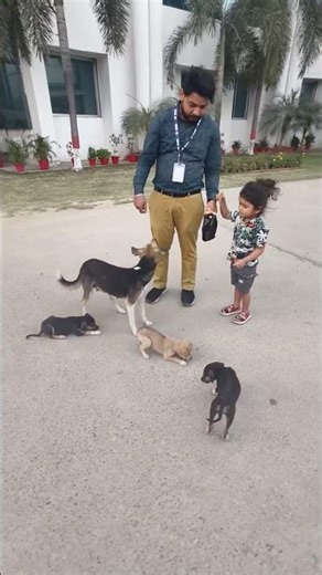 Beby Playing witth cute Pets 🐕 /Masti#baby #pets #masti