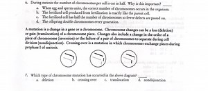 6. During meiosis the number of chromosomes per cell is cut in ... | Filo